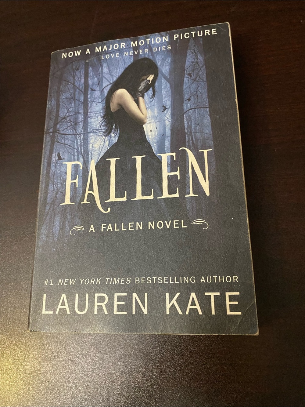 Fallen by Lauren Kate - Dark Blue Paperback